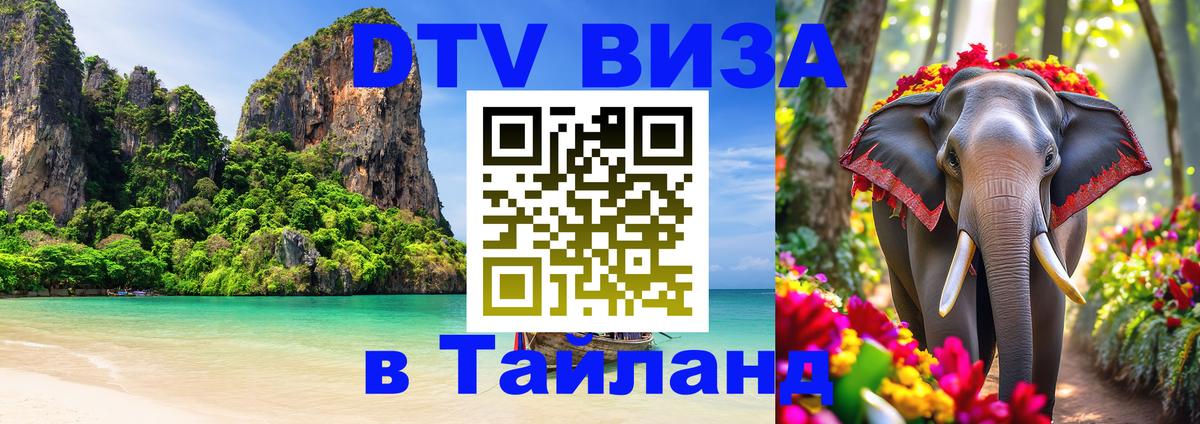 Оформление DTV визы под ключ: стоимость и тарифы, только загранпаспорт - Рыбинск 